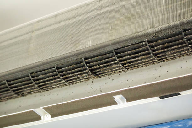 Best Air Duct Inspection  in Mobridge, SD